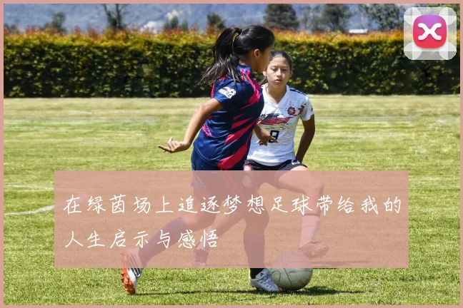 在绿茵场上追逐梦想足球带给我的人生启示与感悟